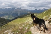 IMG_0242