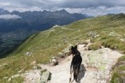 IMG_0263