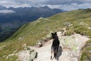 IMG_0264