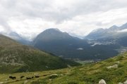 IMG_0288