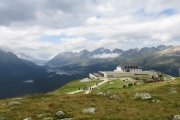 IMG_0329
