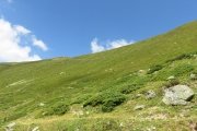 IMG_0419