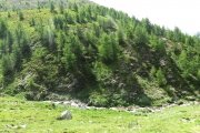 IMG_0421