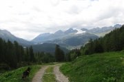IMG_0427