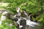 IMG_0430