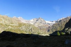 IMG_0006