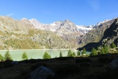 IMG_0008