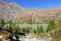 IMG_0016