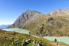 IMG_0061