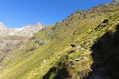 IMG_0069