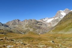 IMG_0088