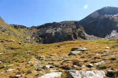 IMG_0089