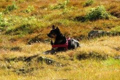 IMG_0106