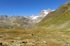IMG_0113