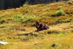 IMG_0121