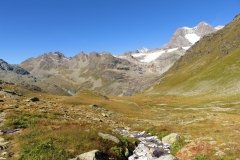 IMG_0130