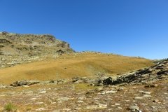 IMG_0131