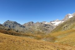 IMG_0138