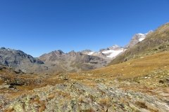 IMG_0145