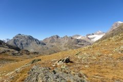 IMG_0157