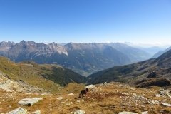 IMG_0168
