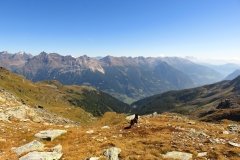 IMG_0175