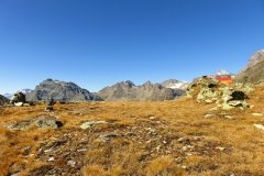 IMG_0185