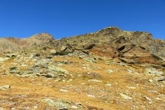 IMG_0187