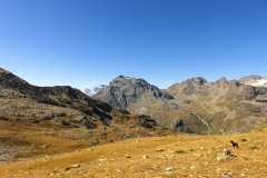 IMG_0196