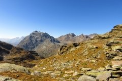 IMG_0201