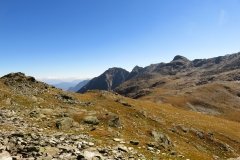 IMG_0203