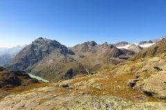 IMG_0211