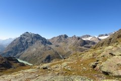 IMG_0214