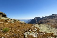 IMG_0220