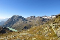 IMG_0221