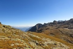 IMG_0257