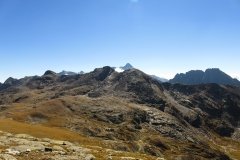 IMG_0258