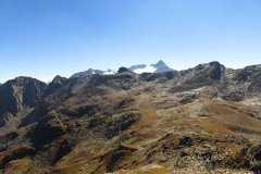 IMG_0302