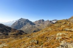 IMG_0307