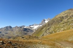 IMG_0316