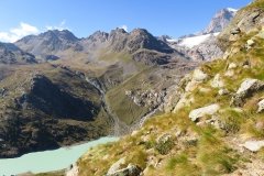 IMG_0336