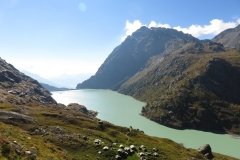 IMG_0342