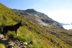 IMG_0345