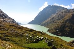IMG_0347