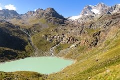 IMG_0352