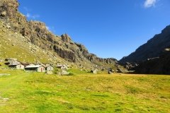 IMG_0390