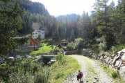 IMG_0001