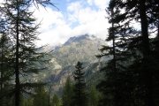 IMG_0007