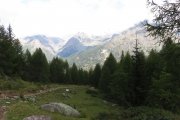 IMG_0013