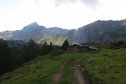 IMG_0015